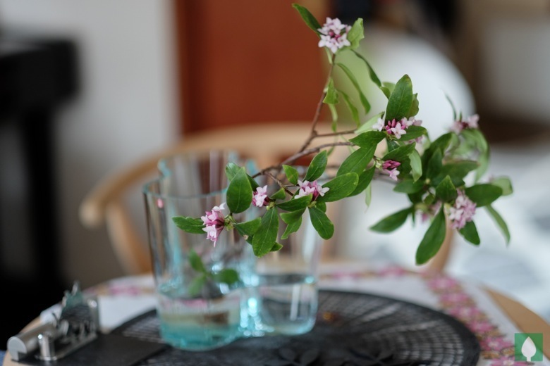 ԁAFujifilm XF56mm