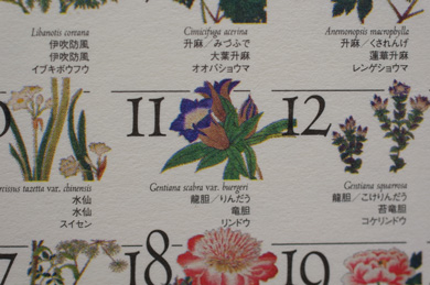 HORIBAJ_[2012