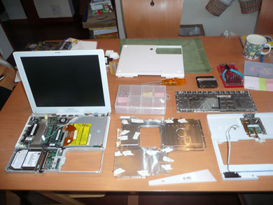 iBook G4̕
