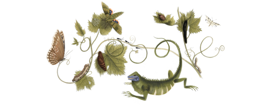Google }AEVrE[A