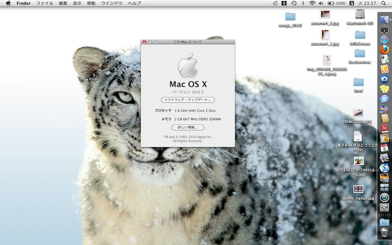 Snow Leopard