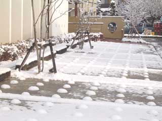 春の雪