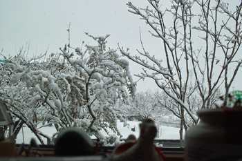 snow