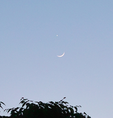 [̋ƎO2010/5/16